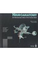 Neuroanatomy