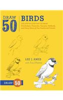 Draw 50 Birds