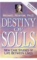 Destiny of Souls