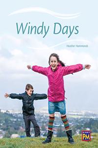 Windy Days: Bookroom Package Orange Level 16 Grades 1-2(Rigby PM Collection)