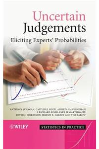 Uncertain Judgements