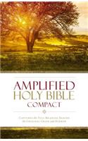 Amplified Holy Bible, Compact, Hardcover