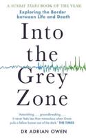 Into the Grey Zone