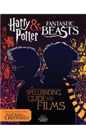 A Spellbinding Guide to the Films (Harry Potter and Fantastic Beasts)