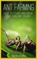Ant Farming